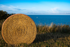 2026-08-23-19-30-10-49